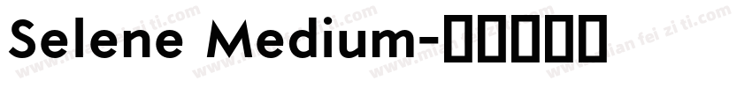 Selene Medium字体转换